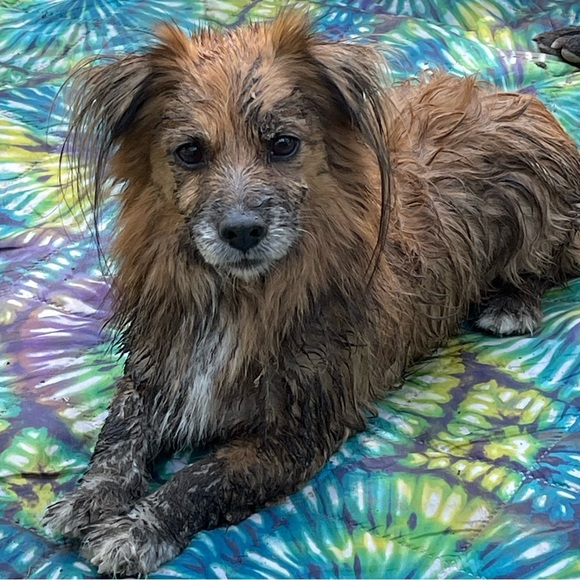 Meet your Posher, Alissa - Picture 14 of 16